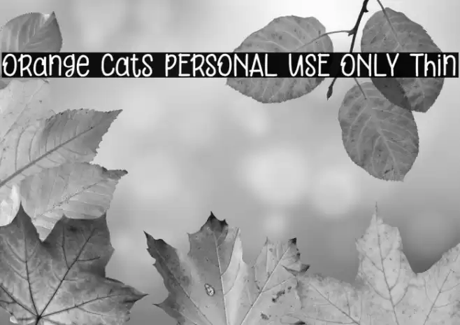 Orange Cats PERSONAL USE ONLY Thin Font examples