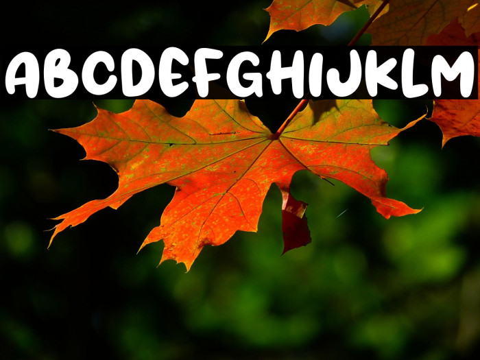 Orange Days Example 2