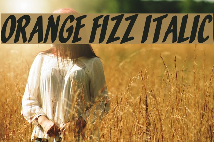 Orange Fizz Italic Font examples