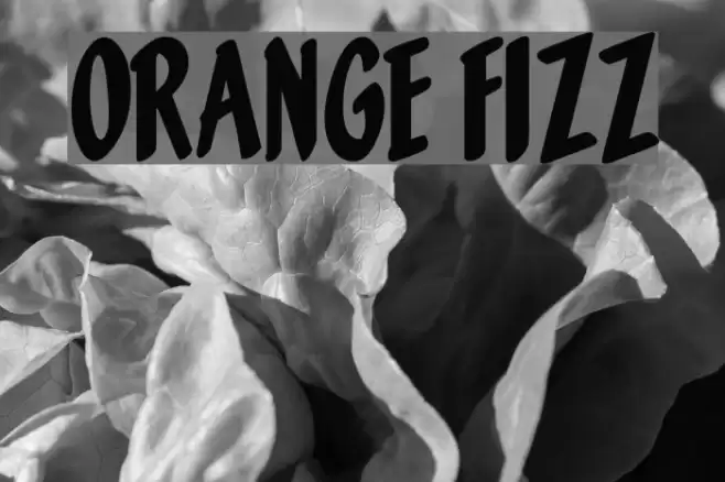 Orange Fizz Font examples