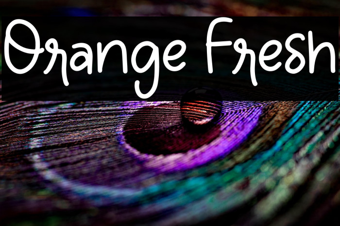 Orange Fresh Example 2