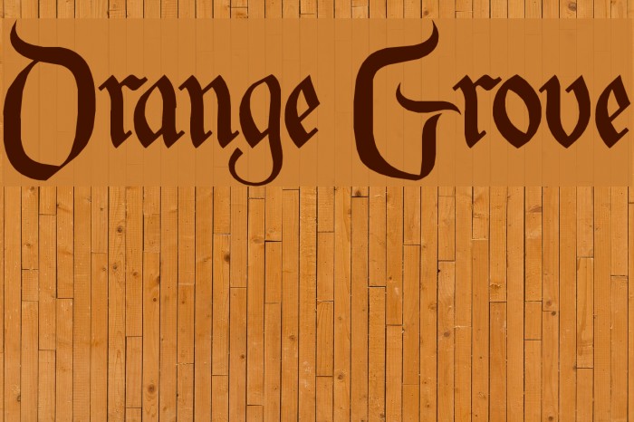 Orange Grove Font examples