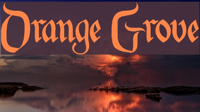Orange Grove Font examples