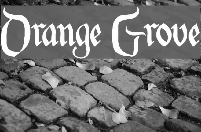 Orange Grove Font examples