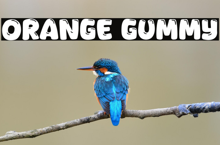 Orange Gummy Example 2