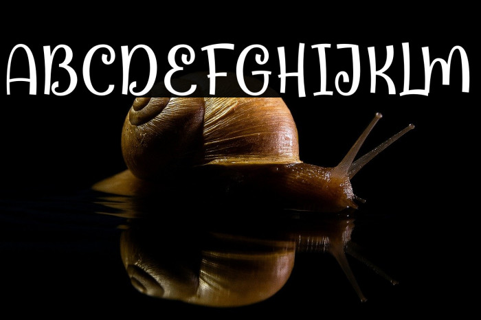 Orange Juice Demo Example 1