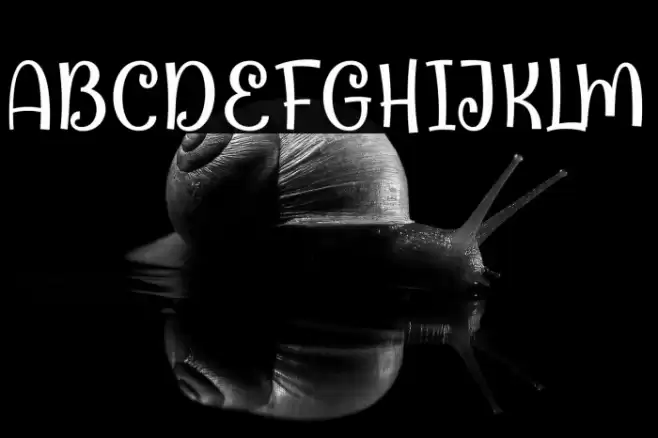 Orange Juice Demo Font examples