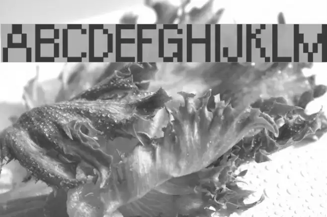 Orange Kid Font examples