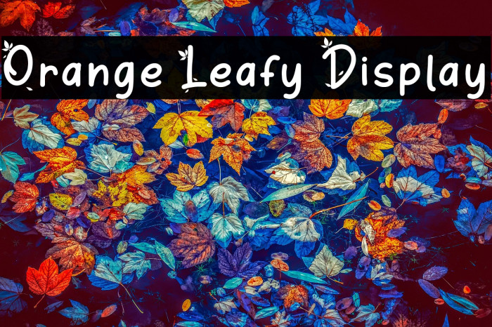 Orange Leafy Display Example 1