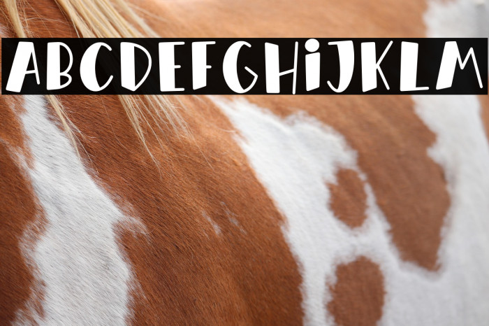 Orange Milk Example 3