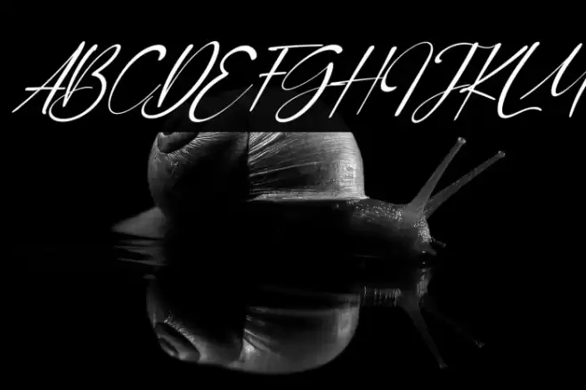 Orange Signature Italic Font examples