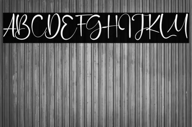 Orange Signature Font examples