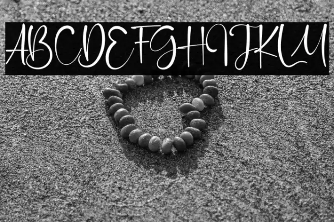 Orange Signature Font examples