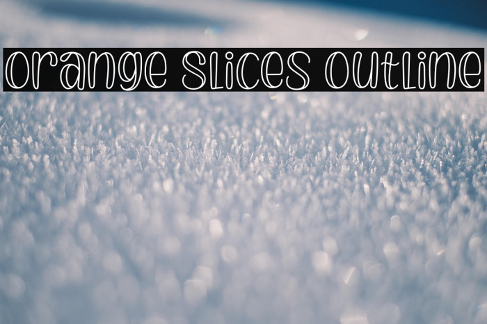 Orange Slices Outline Example 2