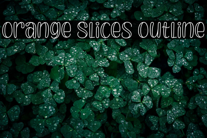 Orange Slices Outline Example 3