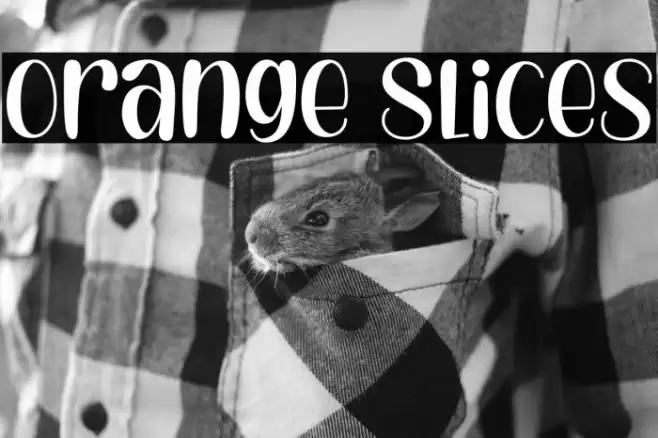 Orange Slices Font examples