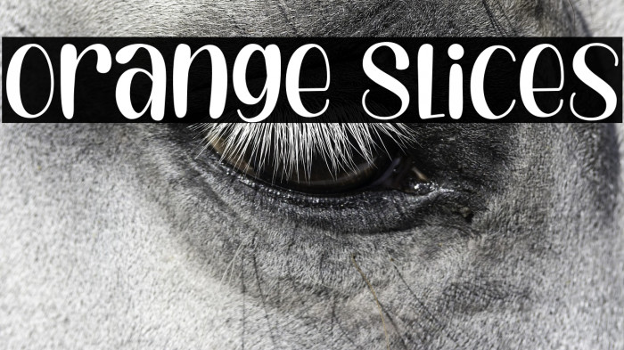 Orange Slices Example 3