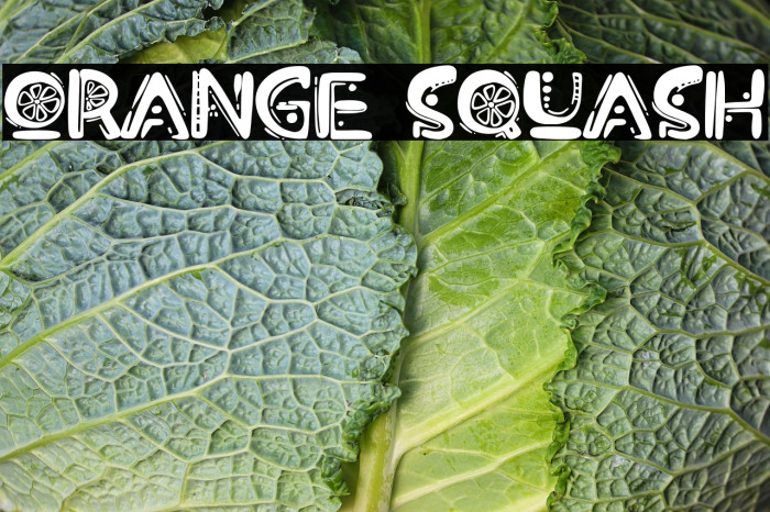 Orange Squash Example 1