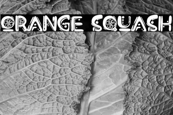 Orange Squash Font examples
