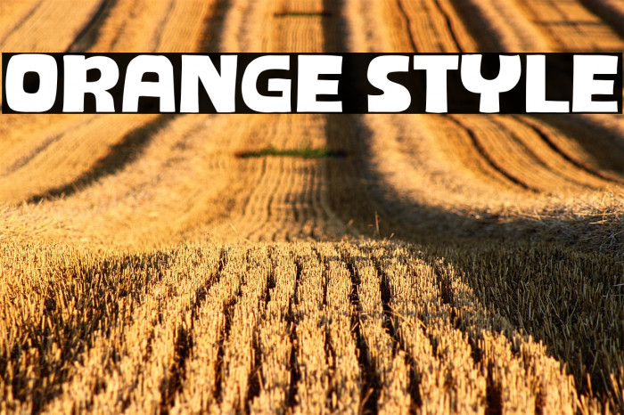 Orange Style Example 2