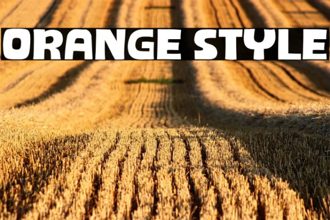 Orange Style Example 2