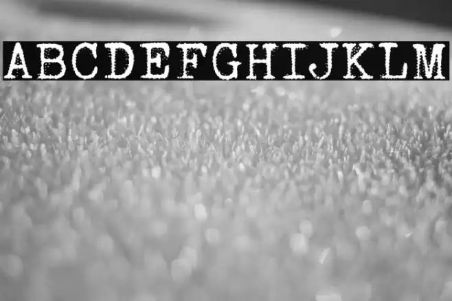 Orange Typewriter Font examples