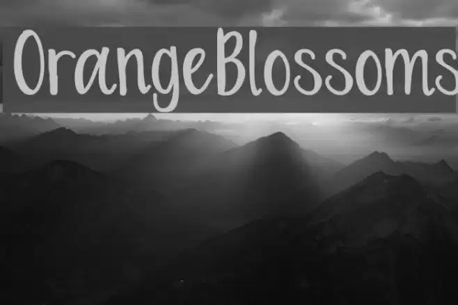 OrangeBlossoms Font examples