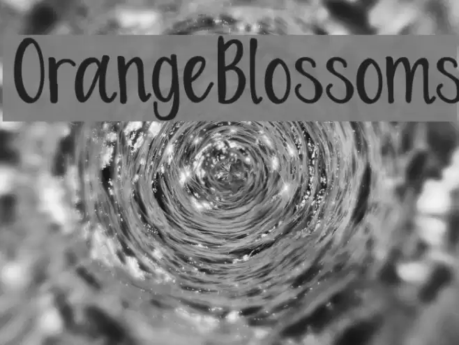 OrangeBlossoms Font examples