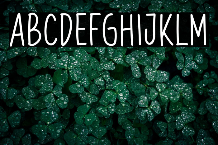 OrangeSyrup Example 2