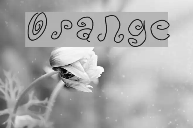 Orange Font examples