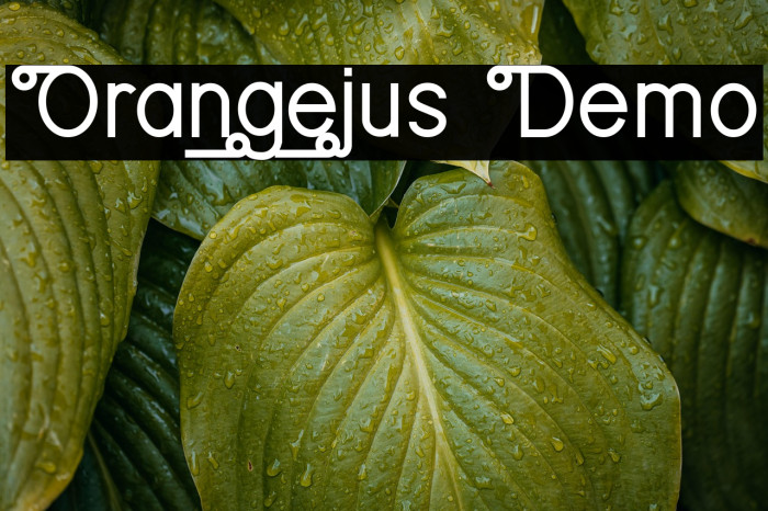 Orangejus Demo Example 3