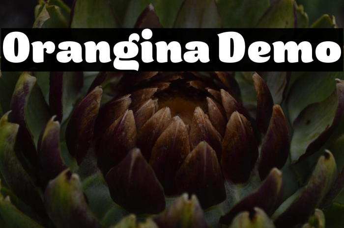 Orangina Demo Example 2