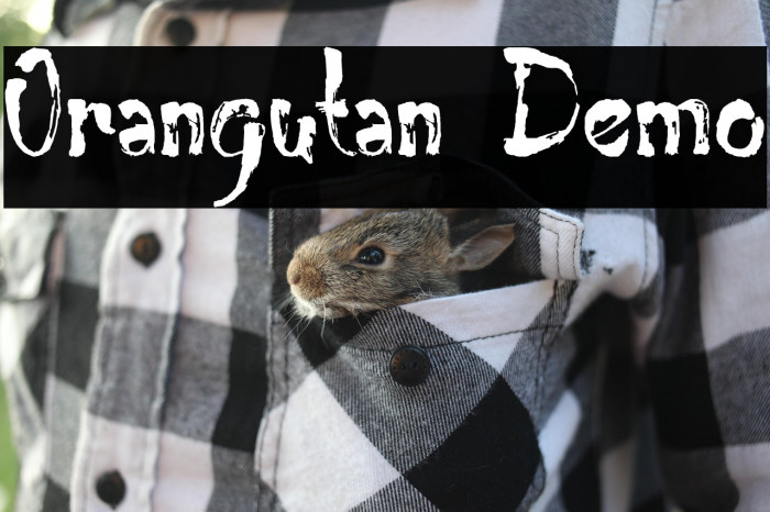 Orangutan Demo Example 3