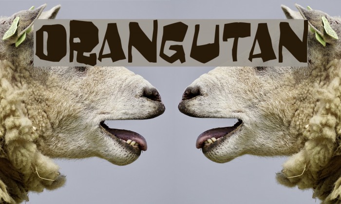Orangutan Font examples