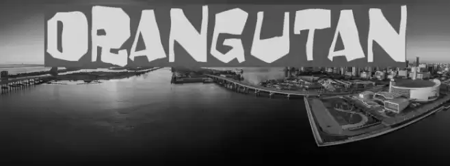 Orangutan Font examples