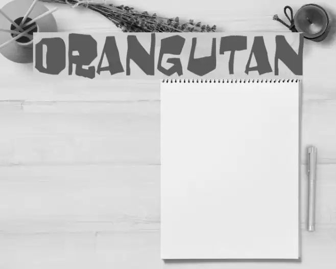Orangutan Font examples