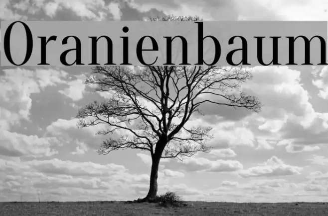 Oranienbaum Font examples