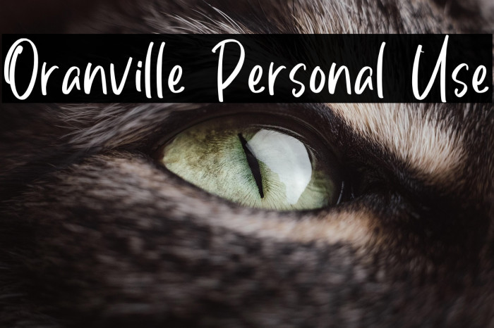 Oranville Personal Use Example 1