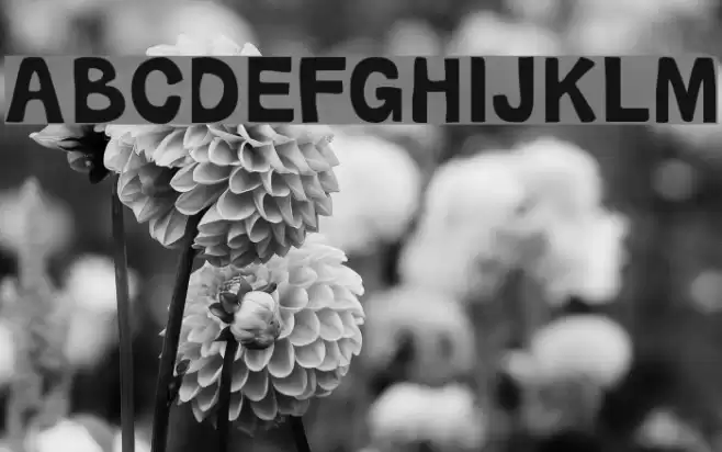 Oravetica Normal Font examples