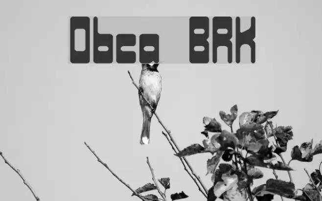 Orbicular BRK フォント examples