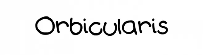 Orbicularis  Free Fonts Download
