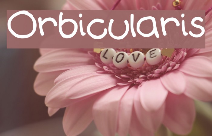 Orbicularis Font examples