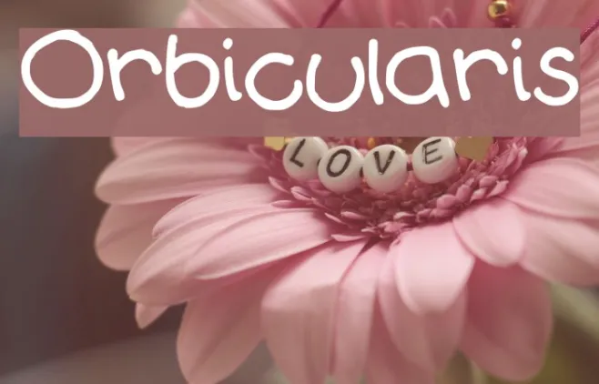 Orbicularis Example 1