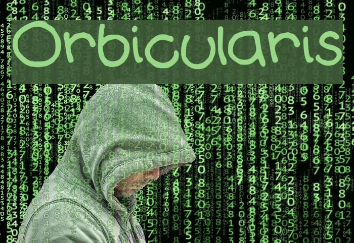 Orbicularis Font examples