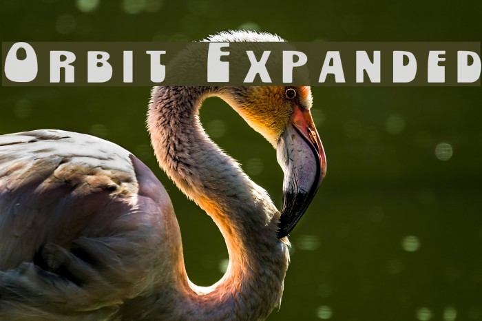 Orbit Expanded Example 1