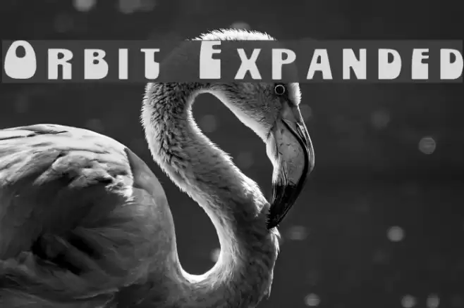 Orbit Expanded Font examples