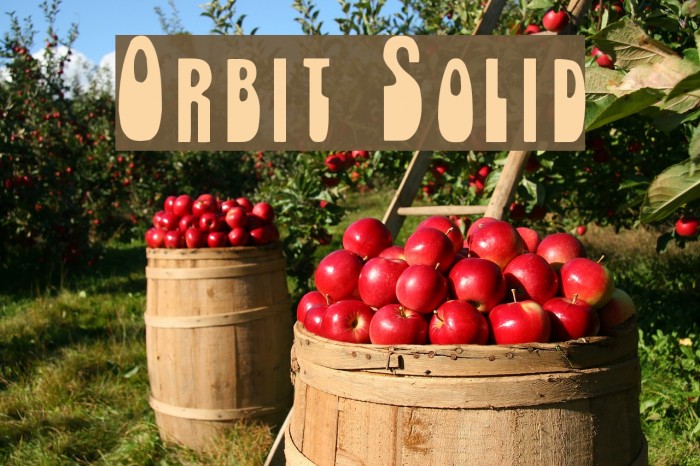 Orbit Solid Example 2