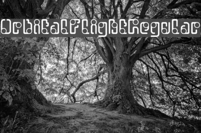 OrbitalFlight-Regular Font examples