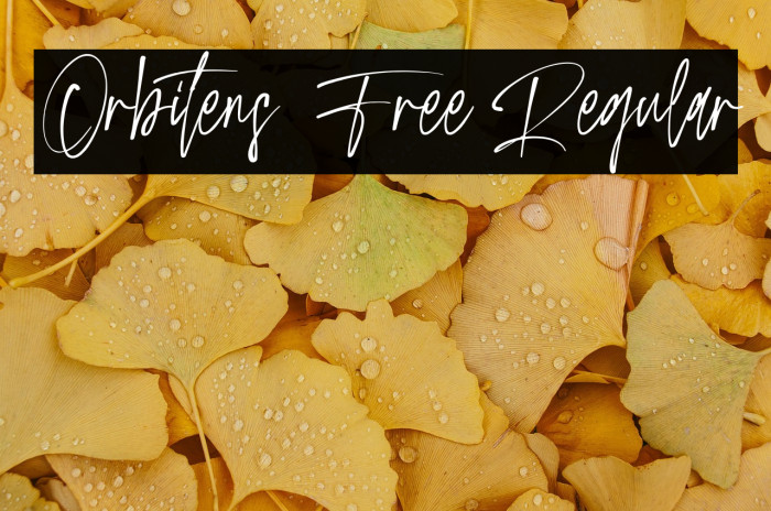 Orbitens Free Regular Example 2