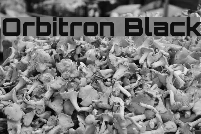 Orbitron Black Font examples